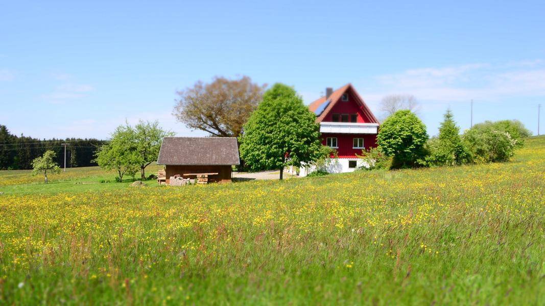 Neues Haus vom 12. März  2018